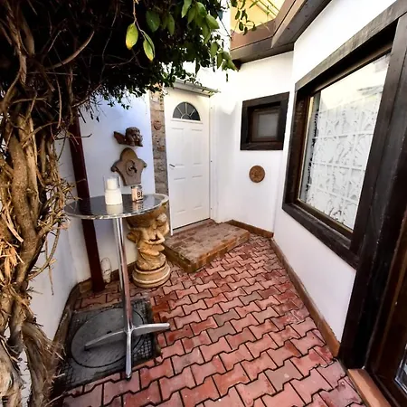 Casa Fotografului Case de vacanță Constanţa