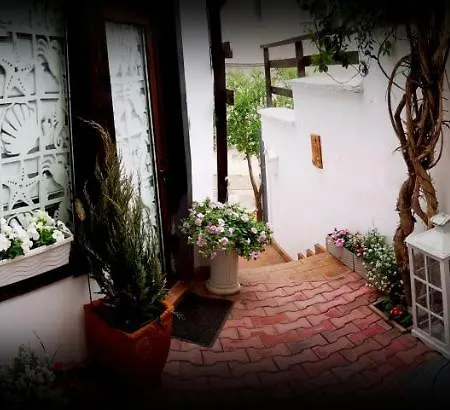 Casa Fotografului Case de vacanță Constanţa