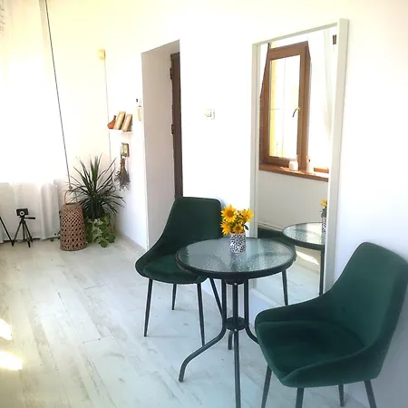 Casa Fotografului קונסטנצה