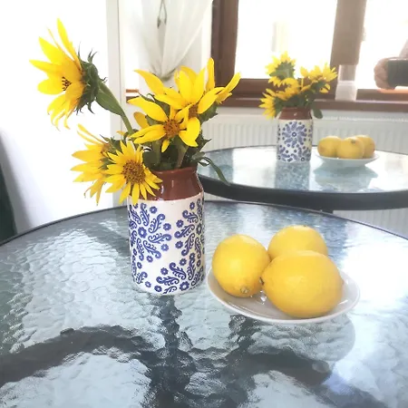 בית נופש Casa Fotografului *