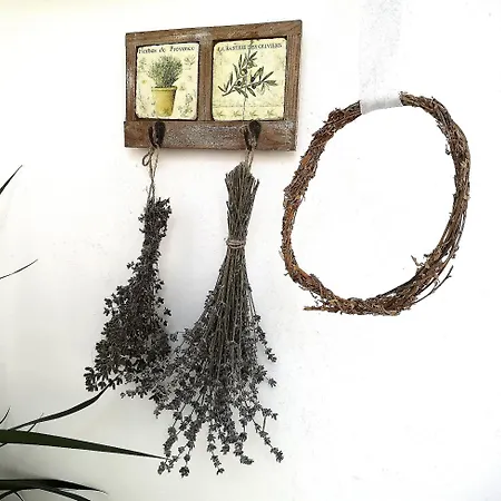 Casa Fotografului קונסטנצה