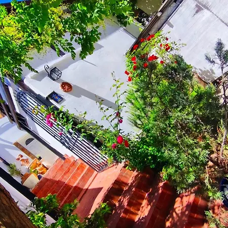 בית נופש Casa Fotografului קונסטנצה