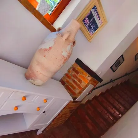 בית נופש Casa Fotografului קונסטנצה