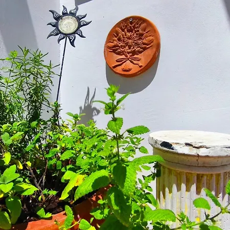 Casa Fotografului