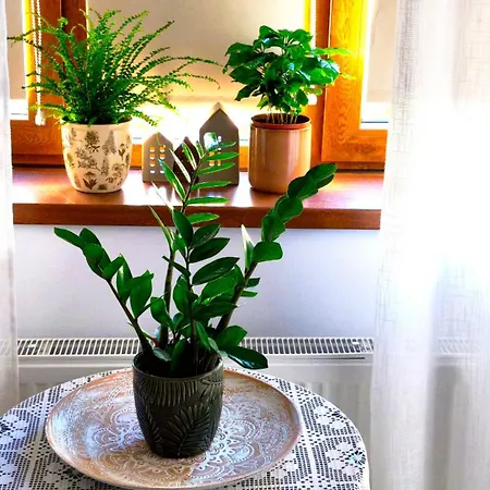 בית נופש Casa Fotografului קונסטנצה