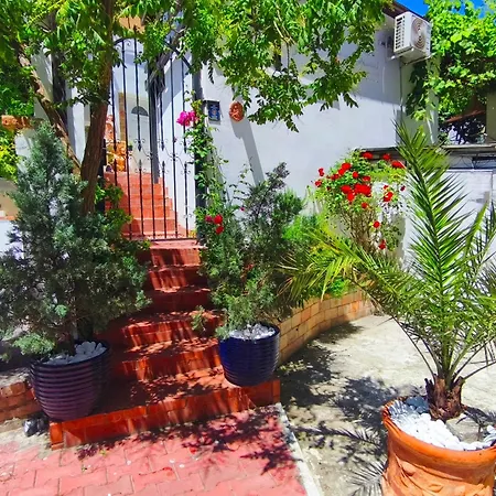 Casa Fotografului * קונסטנצה